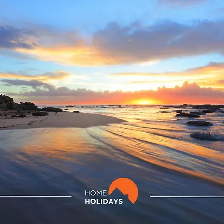 #006 Foxy D By Holidays