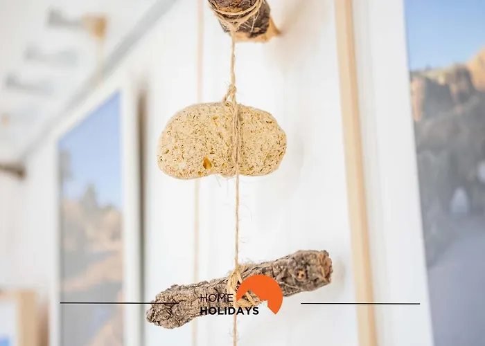 #006 Foxy D By Holidays