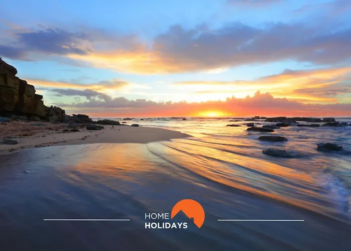 #006 Foxy D By Holidays