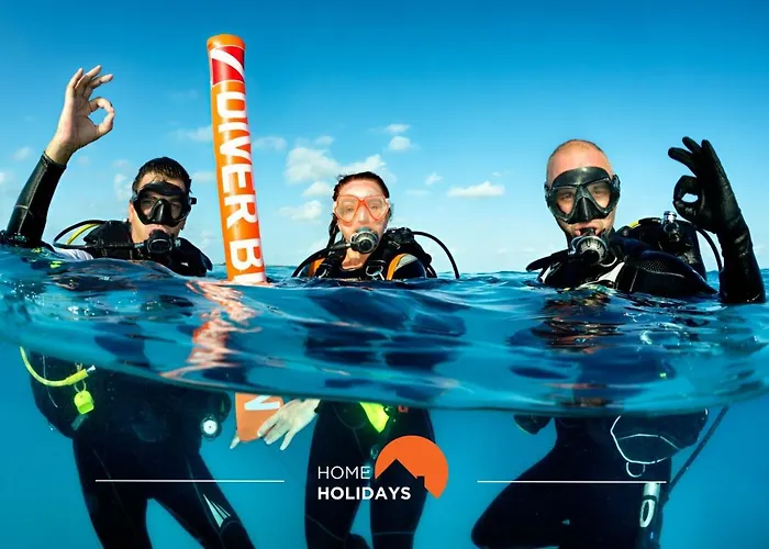 #006 Foxy D By Holidays 알부페이라